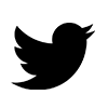 Twitter icon